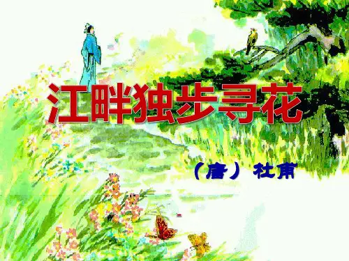 202X语文S版语文四下《江畔独步寻花》ppt课件1