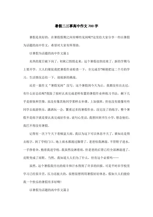 暑假二三事高中作文700字