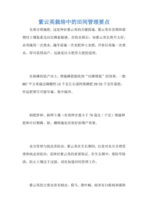 紫云英栽培中的田间管理要点