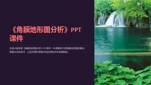 《角膜地形图分析》课件