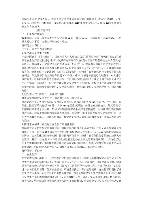 安全生产监督管理局2018年绩效考核评估工作自查报告