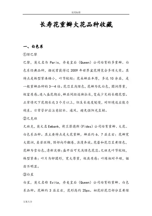 长寿花重瓣大花品种