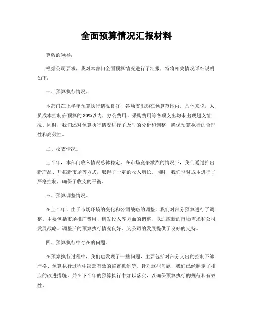 全面预算情况汇报材料