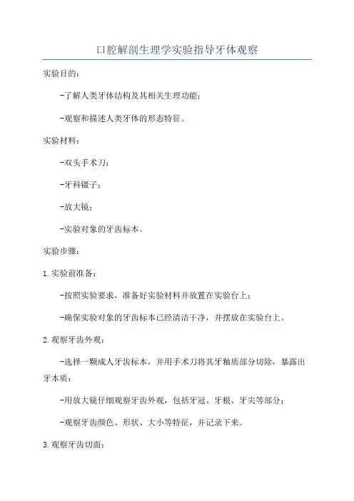 口腔解剖生理学实验指导牙体观察
