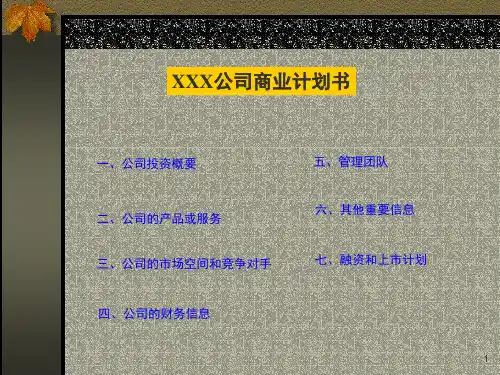 融资商业计划书模板