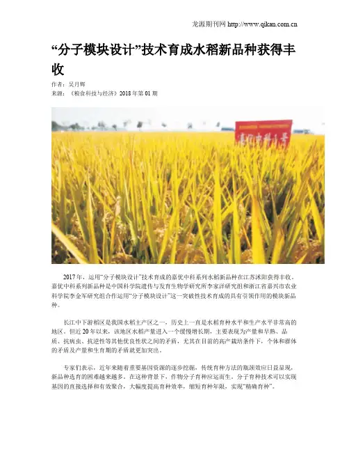 “分子模块设计”技术育成水稻新品种获得丰收