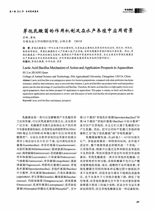 芽孢乳酸菌的作用机制及在水产养殖中应用前景