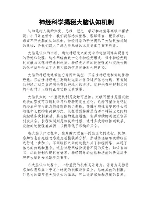 神经科学揭秘大脑认知机制