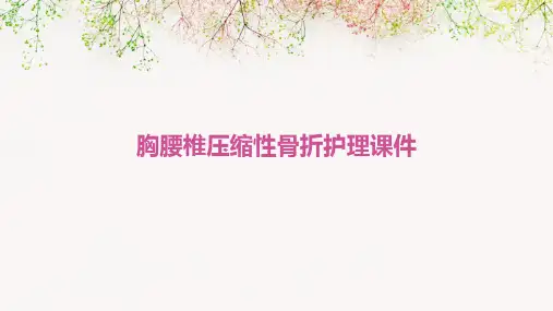胸腰椎压缩性骨折护理课件