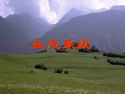 生态系统复习课
