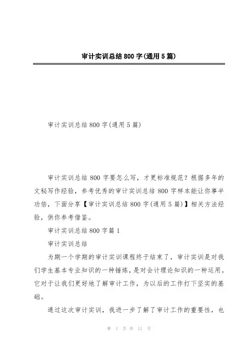 审计实训总结800字(通用5篇)
