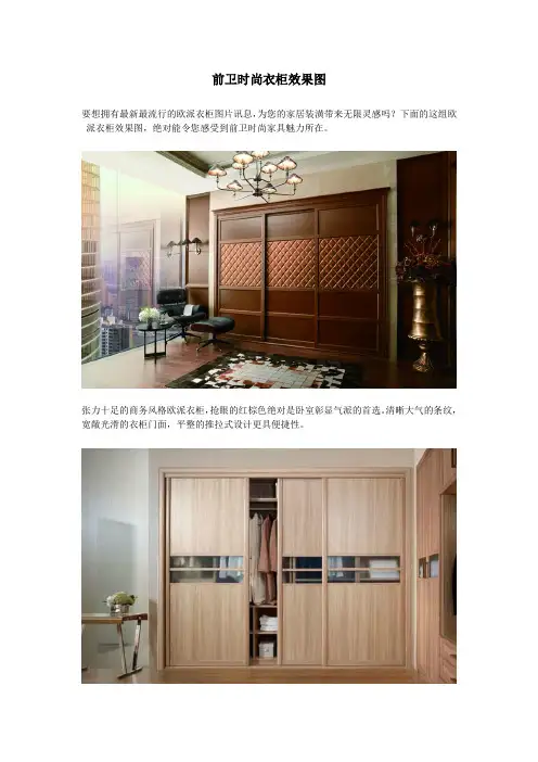 前卫时尚衣柜效果图
