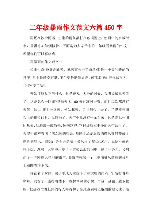 二年级暴雨作文六篇450字