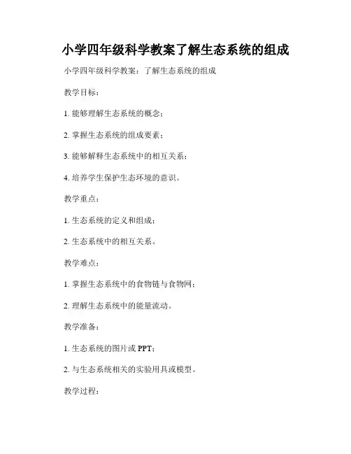 小学四年级科学教案了解生态系统的组成