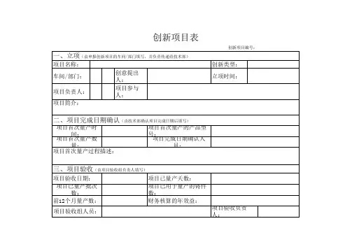 创新项目表