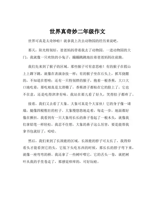 世界真奇妙二年级作文