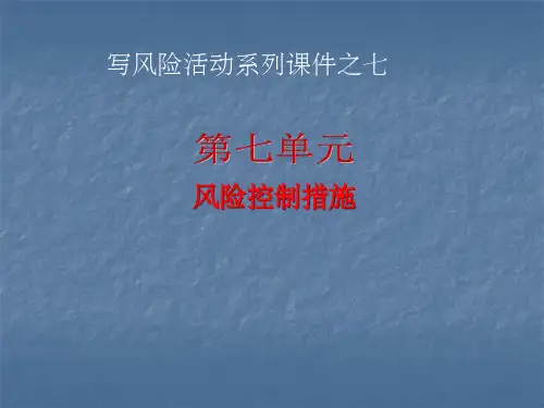 风险控制措施ppt课件