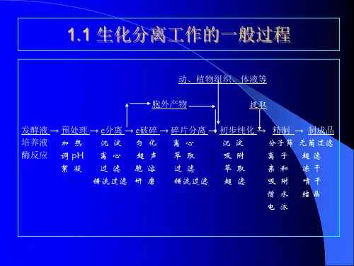 生化分离工程