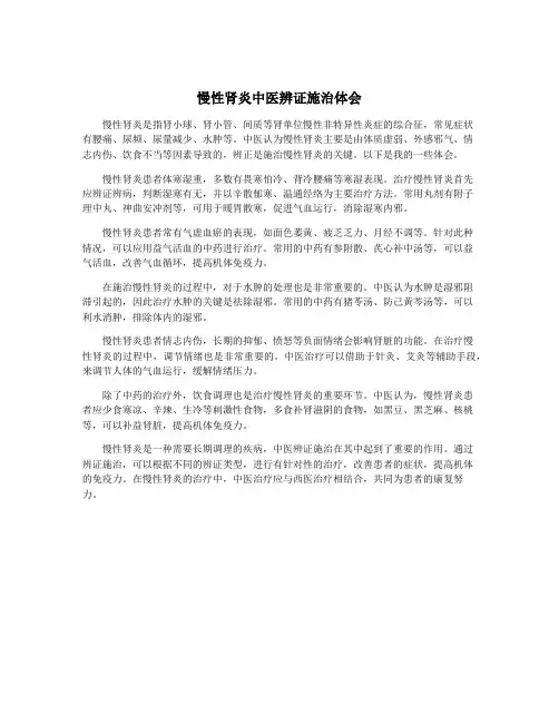 慢性肾炎中医辨证施治体会