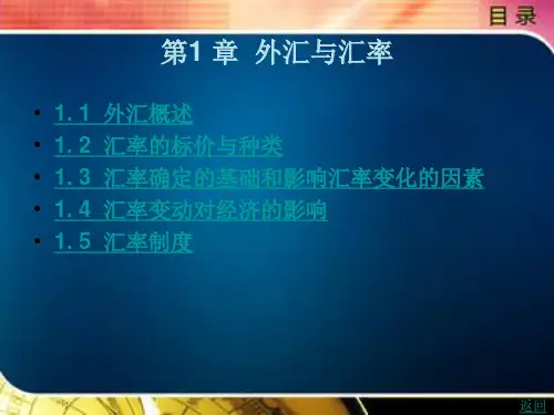 《国际金融实务》电子教案 第1 章  外汇与汇率