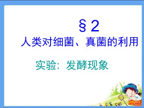 八年级生物PPT课件发酵实验
