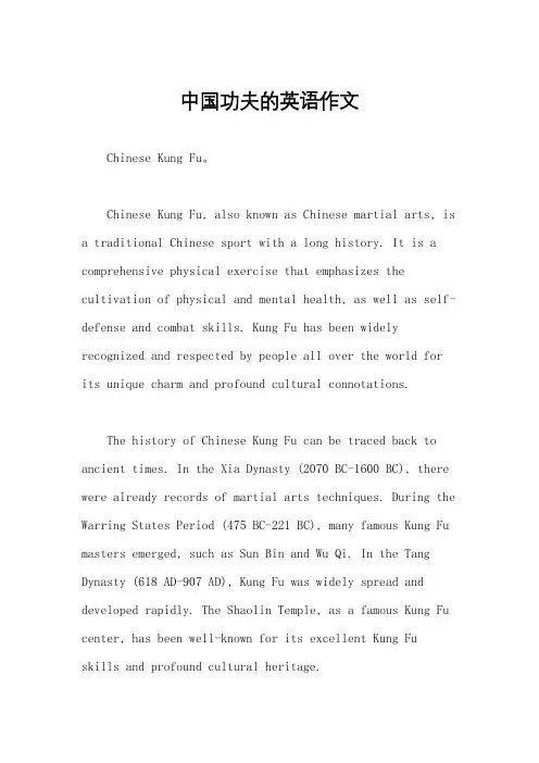 中国功夫的英语作文