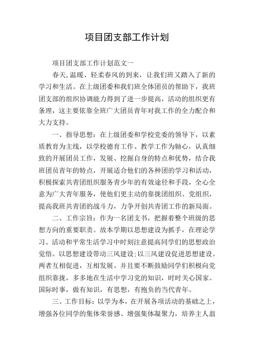 项目团支部工作计划