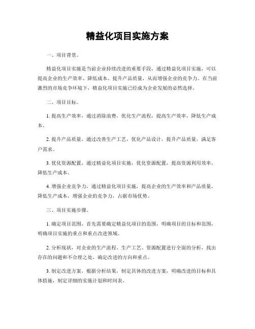 精益化项目实施方案