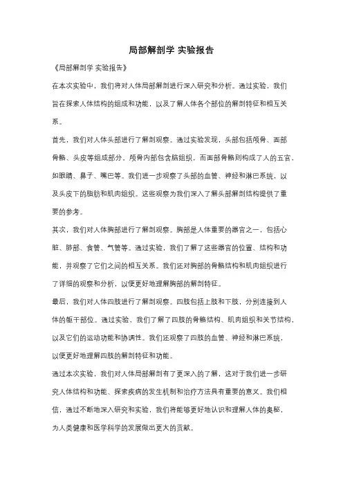 局部解剖学 实验报告
