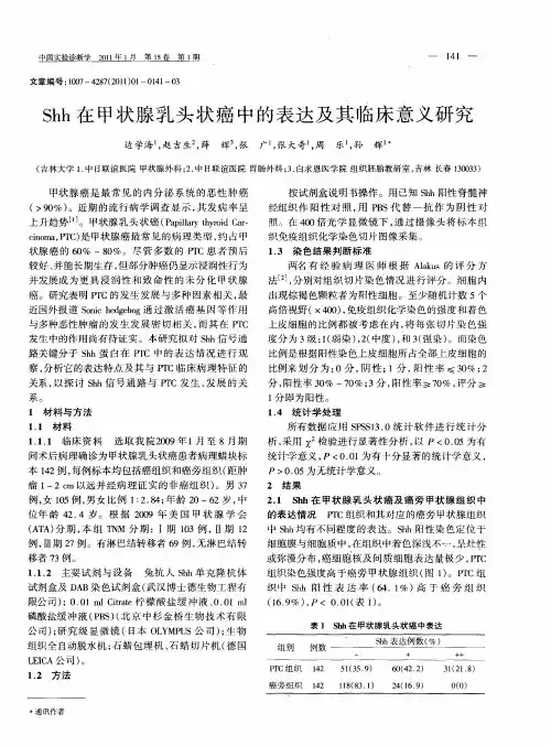 Shh在甲状腺乳头状癌中的表达及其临床意义研究