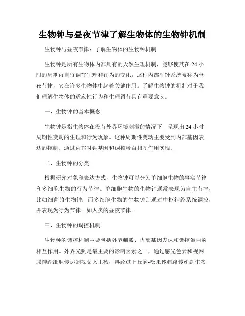 生物钟与昼夜节律了解生物体的生物钟机制