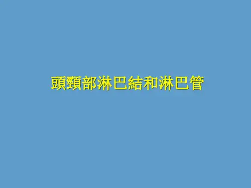 口腔解剖生理课件：头颈部淋巴结和淋巴管