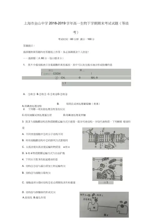 上海市金山中学2018-2019学年高一生物下学期期末考试试题(等级考)