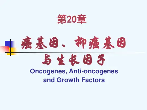 第20章 癌基因抑癌基因与生长因子
