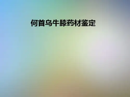 何首乌牛膝药材鉴定