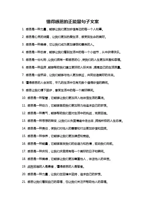 懂得感恩的正能量句子文案