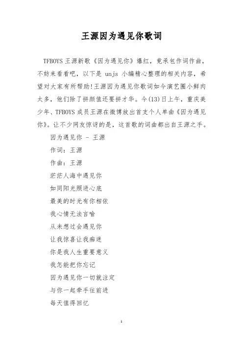 王源因为遇见你歌词