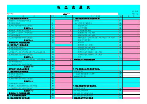 年度现金流量表模板(2)