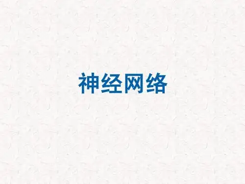 神经网络