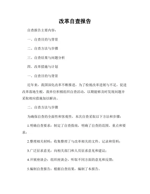 改革自查报告