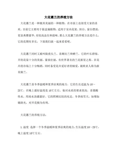 大花蕙兰的养殖方法 