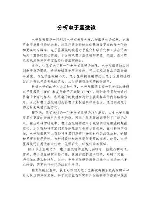 分析电子显微镜
