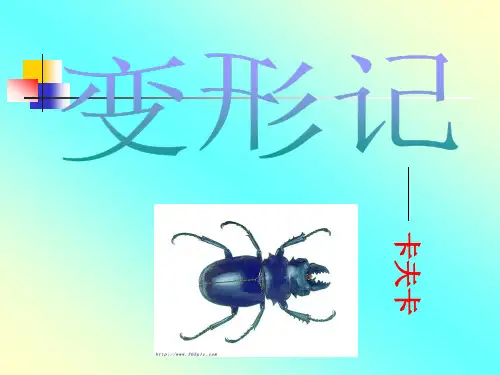 《变形记》ppt课件
