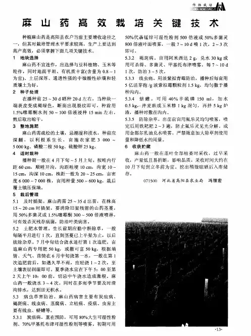 麻山药高效栽培关键技术