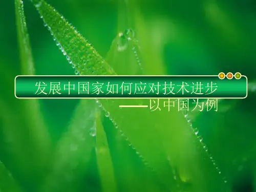 发展中国家如何应对技术进步