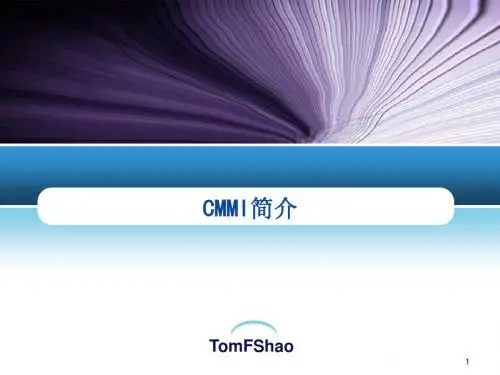 CMMI简介