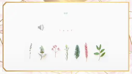 北欧ins风小清新PPT模板 植物水彩创意画册品牌述职工作总结通用 (44)