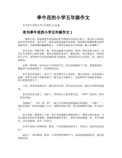 牵牛花的小学五年级作文