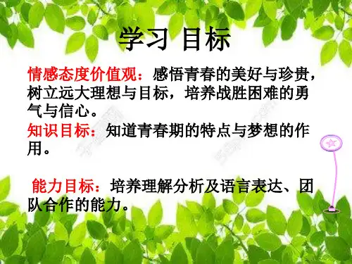 青春飞扬放飞梦想.ppt