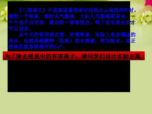 离子反应_精品文档